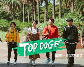 暗网TV《TOP DOG》免费在线观看