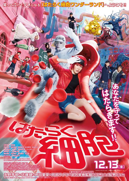 暗夜成人视频《工作细胞 真人版 はたらく細胞》免费在线观看