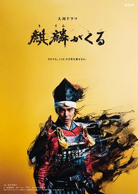 暗网禁区《麒麟来了 麒麟がくる》免费在线观看