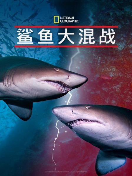 暗网TV《鲨鱼大混战》免费在线观看