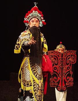 暗网禁区《袁崇焕2009》免费在线观看