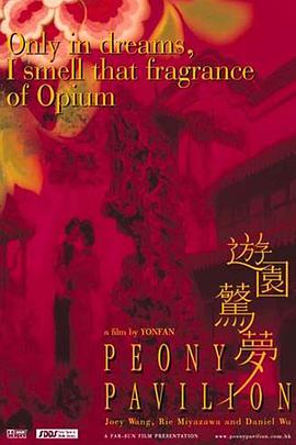 暗夜成人视频《导演请指教》免费在线观看
