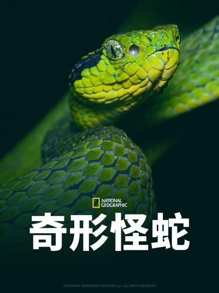 暗网禁区《奇形怪蛇》免费在线观看